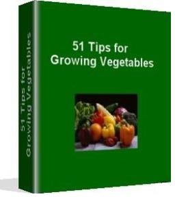 51 Tips for Growing a Vegetable Garden
