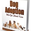 Dog Adoption What You Should Know 1