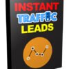Instant Traffic Leads